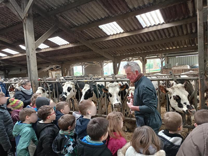 Des Champs d’Oiseaux dans Nos Écoles